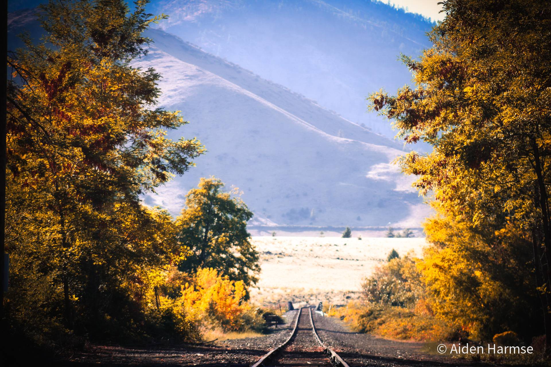 Autumn Tracks: